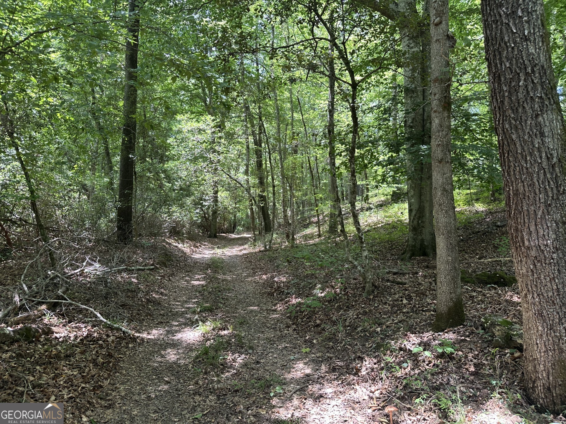 360 Happy Hollow Road Comer, GA 30629 - Photo 18 of 31