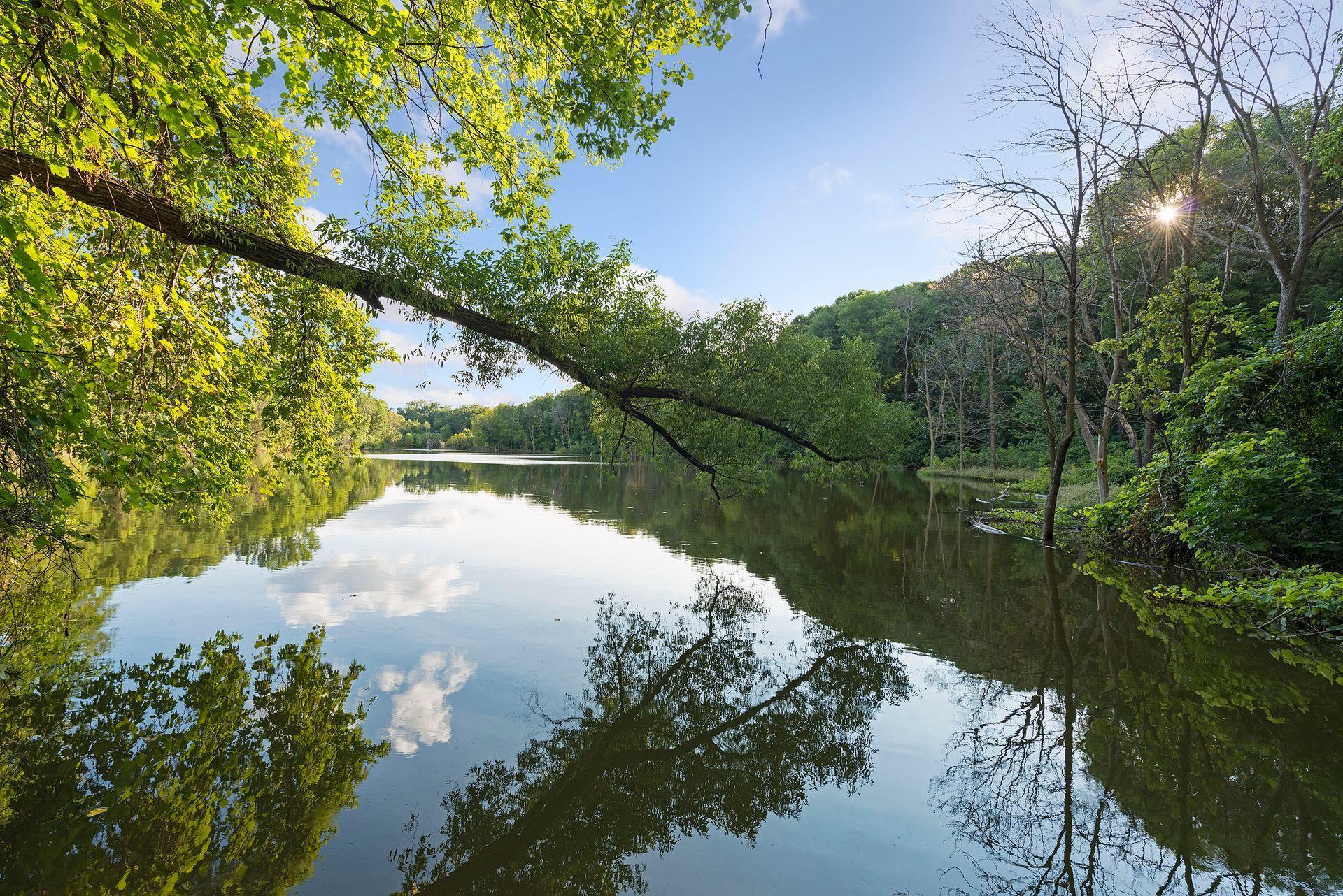 4580 Blaylock Circle Inver Grove Heights, MN 55076 - Photo 36 of 45