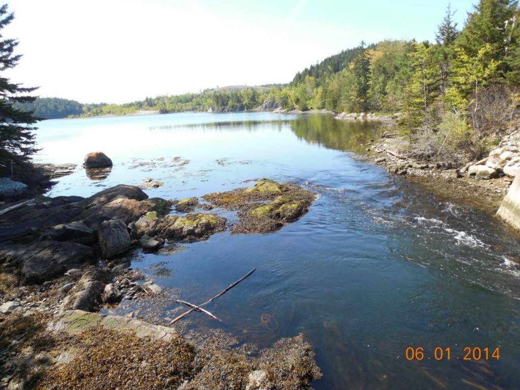 83 Goose Falls Road Brooksville, ME 04642 - Photo 8 of 36 Goose Cove