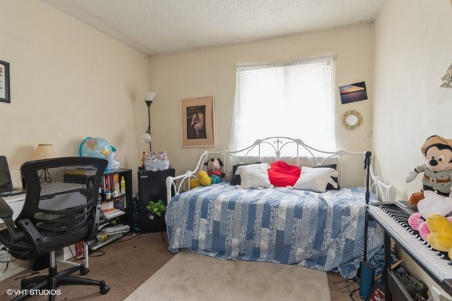 1732 Howe Lane Hanover Park, IL 60133 - Photo 10 of 11