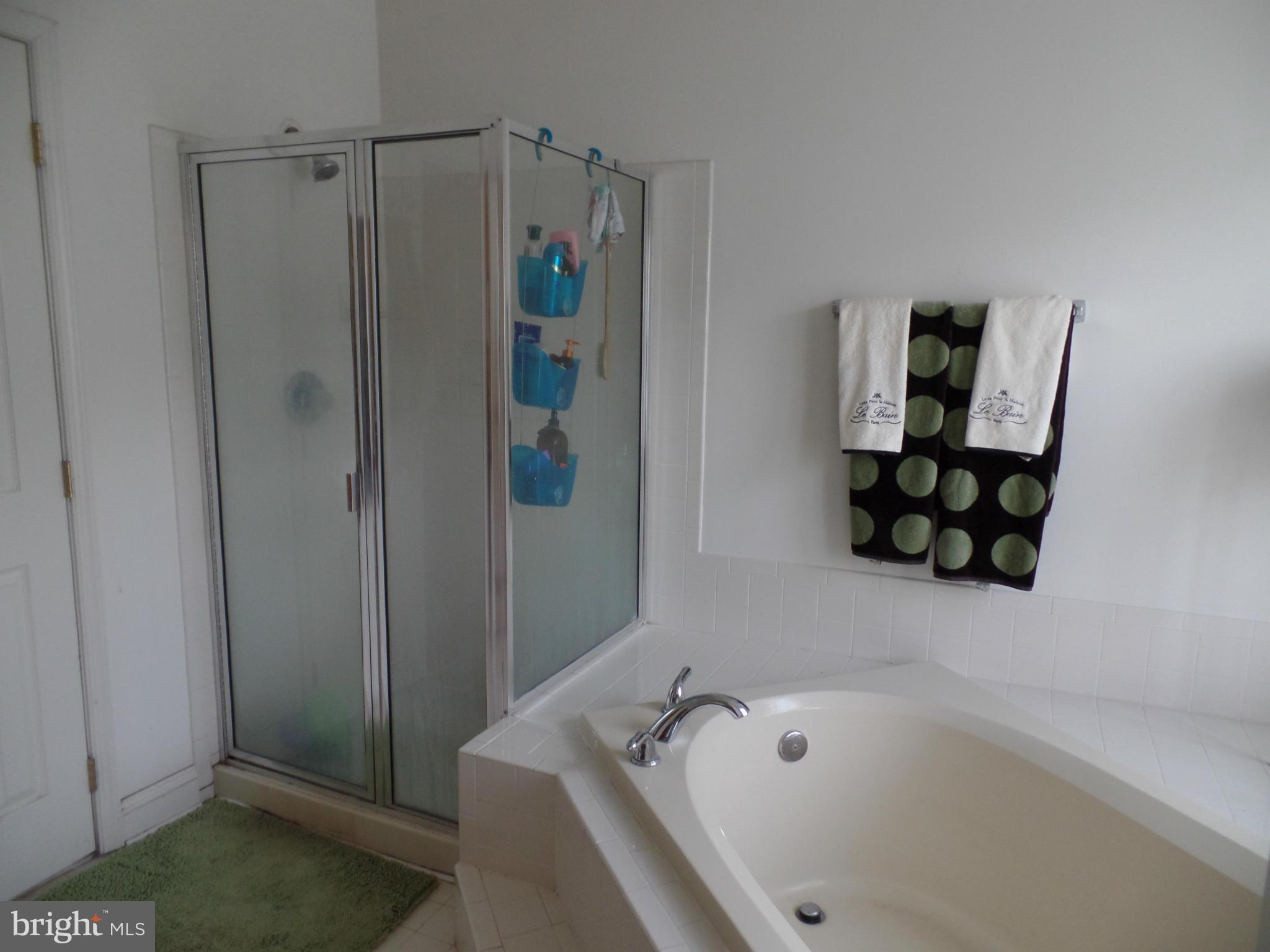 4 Spring Heath Court Baltimore, MD 21244 - Photo 15 of 24 Bath (Master)