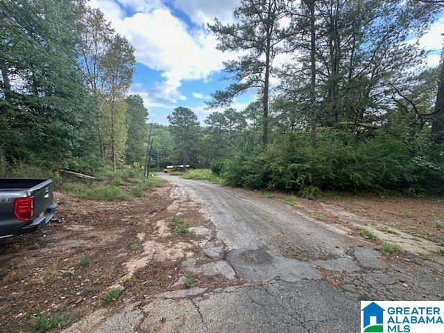 165 Roulain Road Odenville, AL 35120 - Photo 7 of 8 Gallery Image 7
