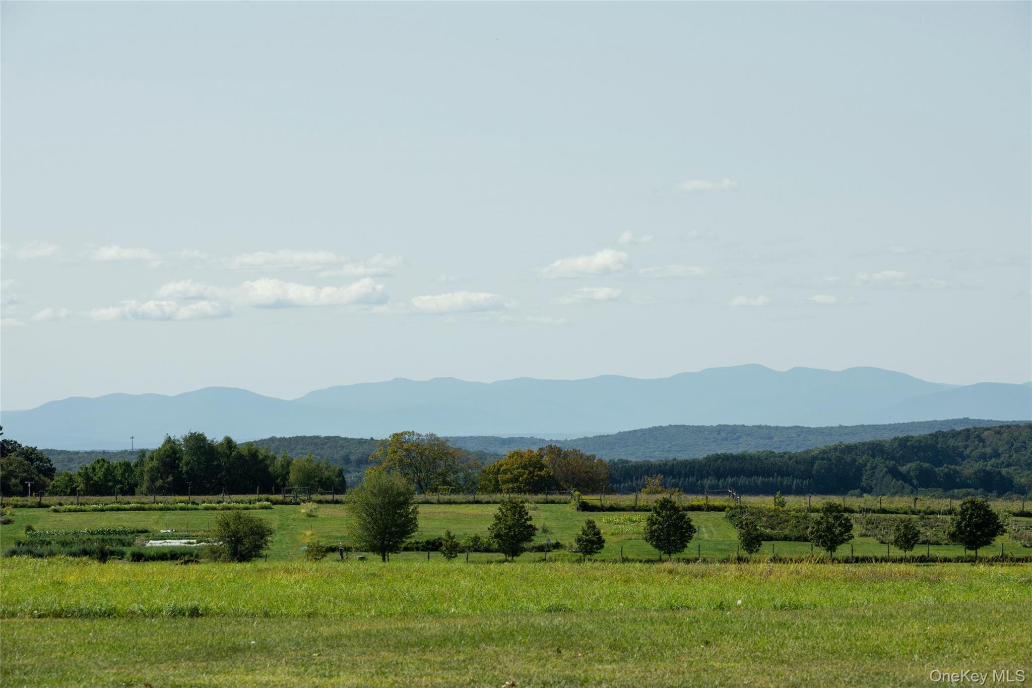 147 Moadock Road Millerton, NY 12546 - Photo 2 of 48 a view of mountain and grassy field