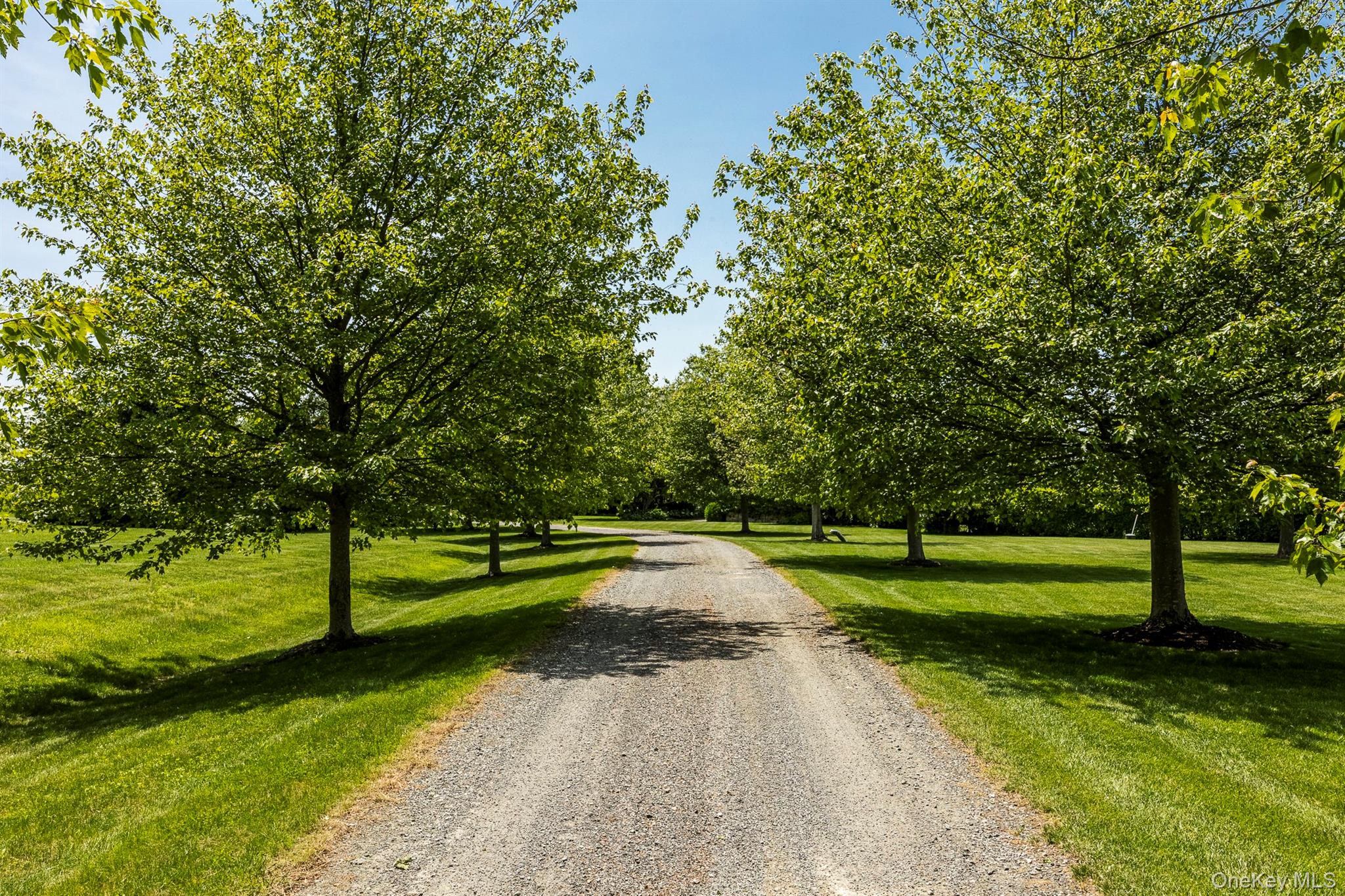 147 Moadock Road Millerton, NY 12546 - Photo 45 of 48 a view of a park with large trees