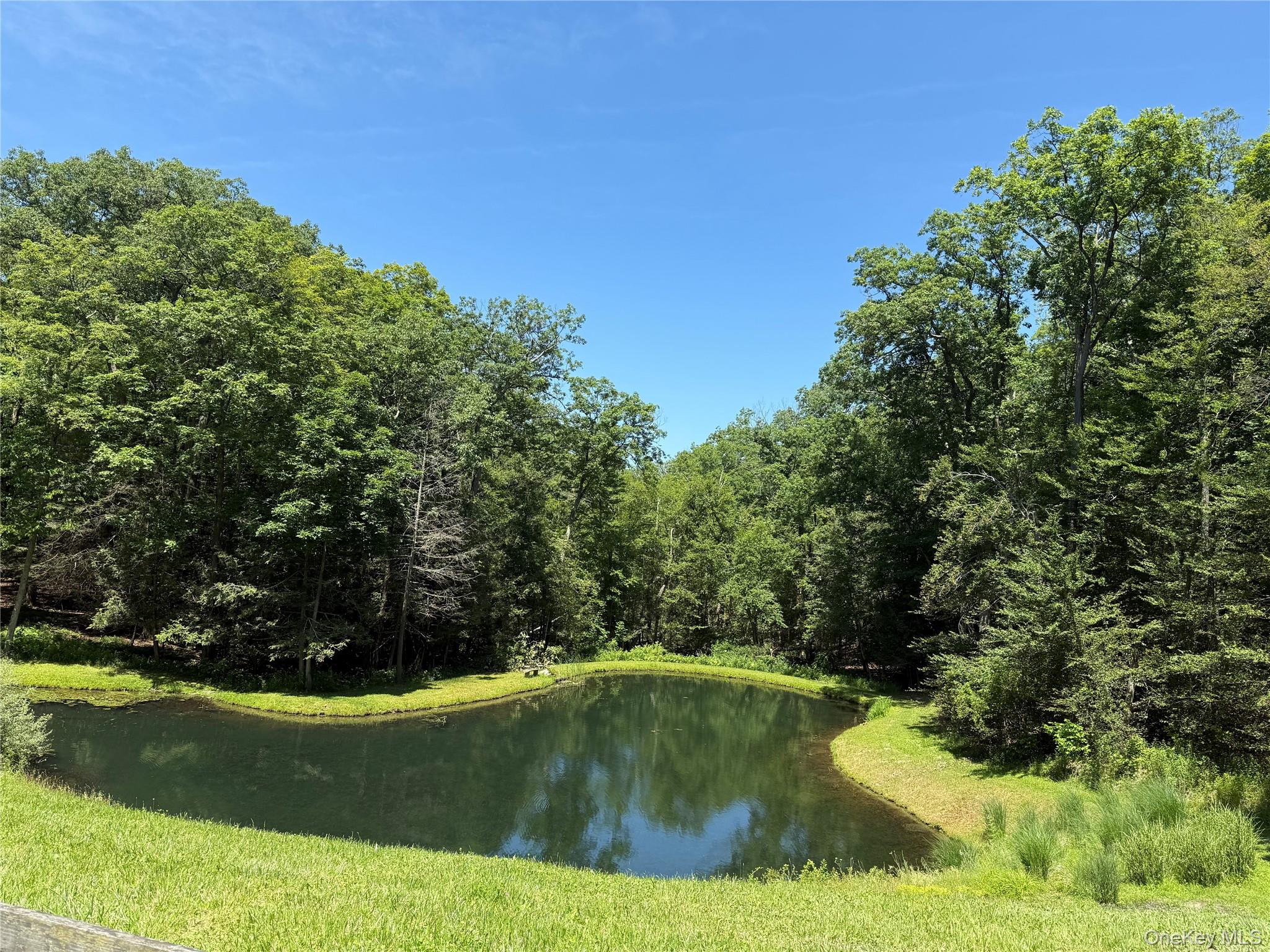 147 Moadock Road Millerton, NY 12546 - Photo 48 of 48 a view of a swimming pool with a yard