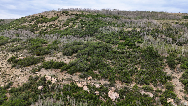 123 Beaver Creek Road Helper, UT 84526 - Photo 33 of 47 Expansive hillside terrain featuring varied vegetation, including green shrubbery and light-colored deciduous trees