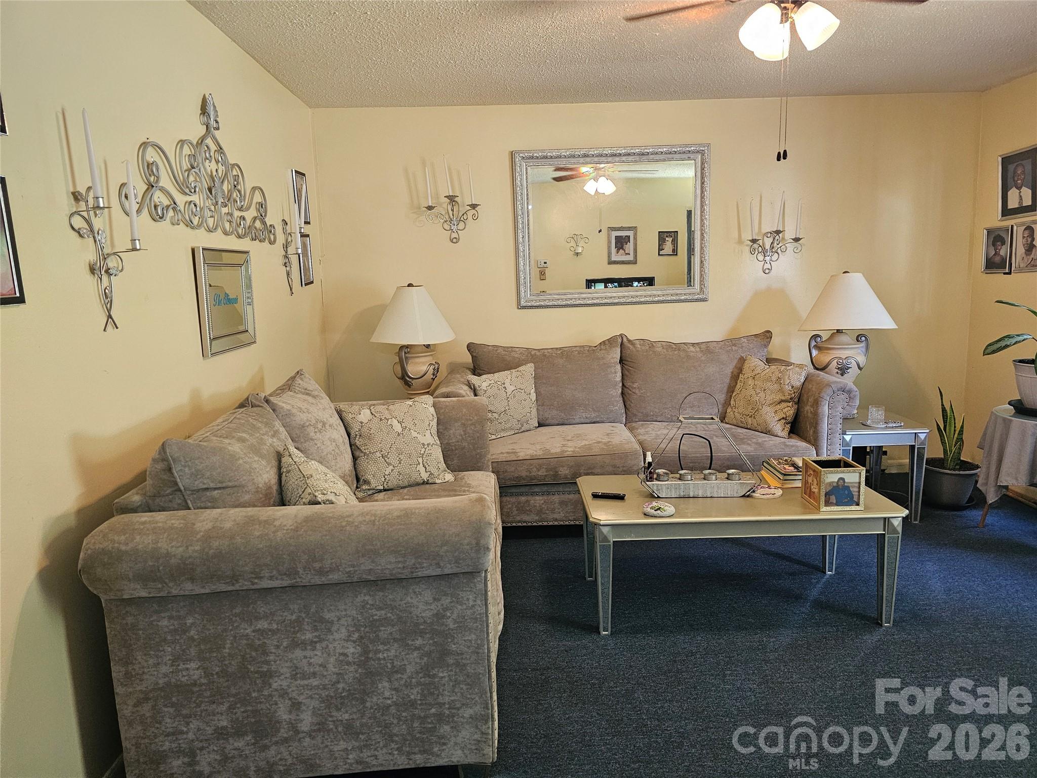 306 Wylie Park Road Lancaster, SC 29720 - Photo 3 of 12