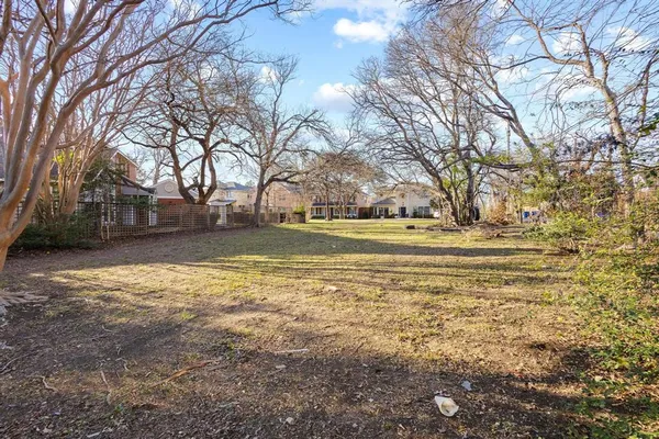 a view of a yard with a large tree