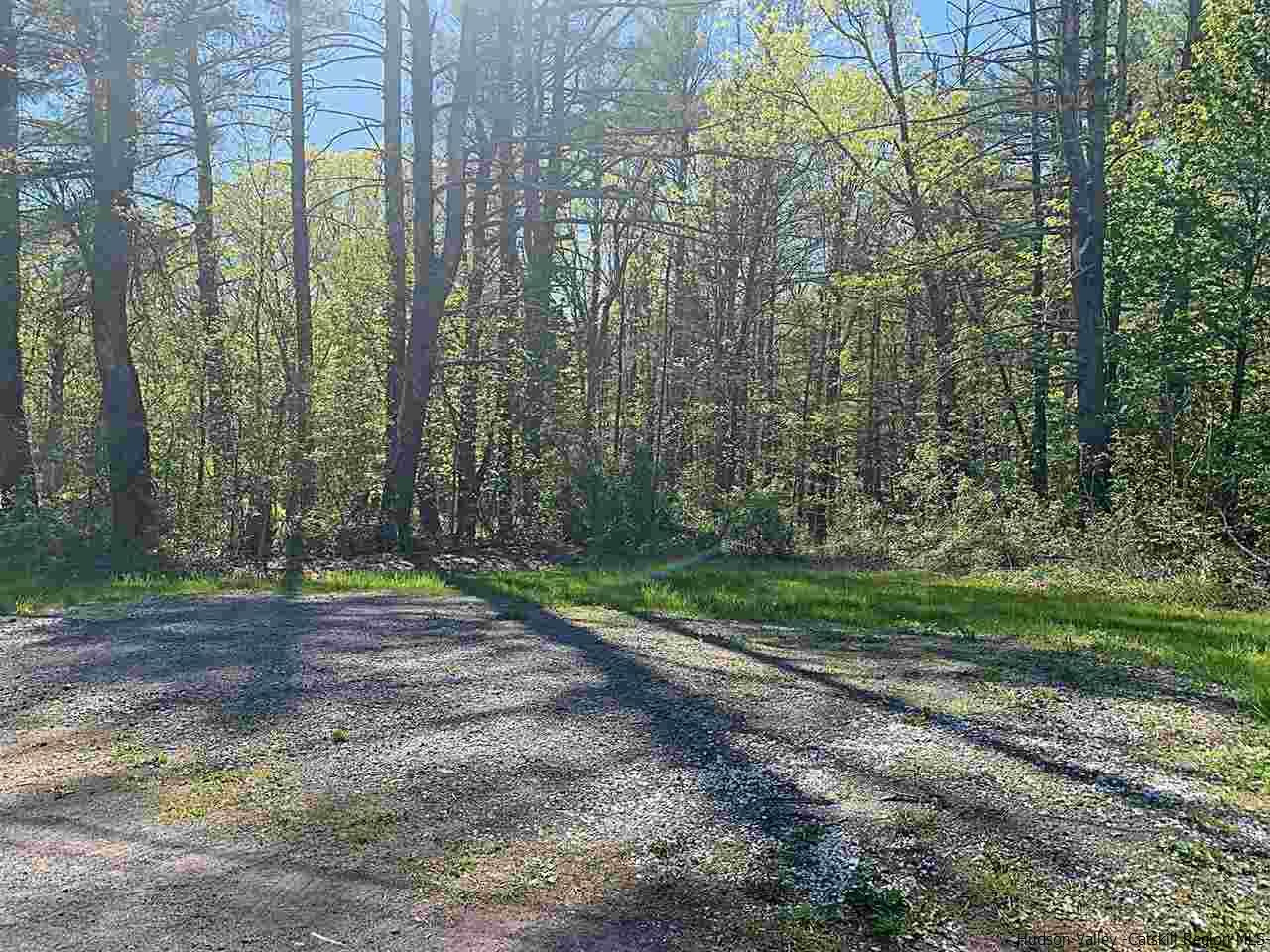 56 Bellwood Road Saugerties, NY 12477 - Photo 34 of 35 a view of a yard with plants and trees