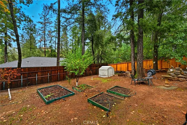 a view of backyard with trees
