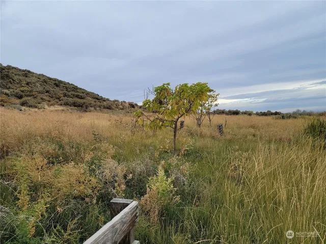 a view of a lake with lots of trees