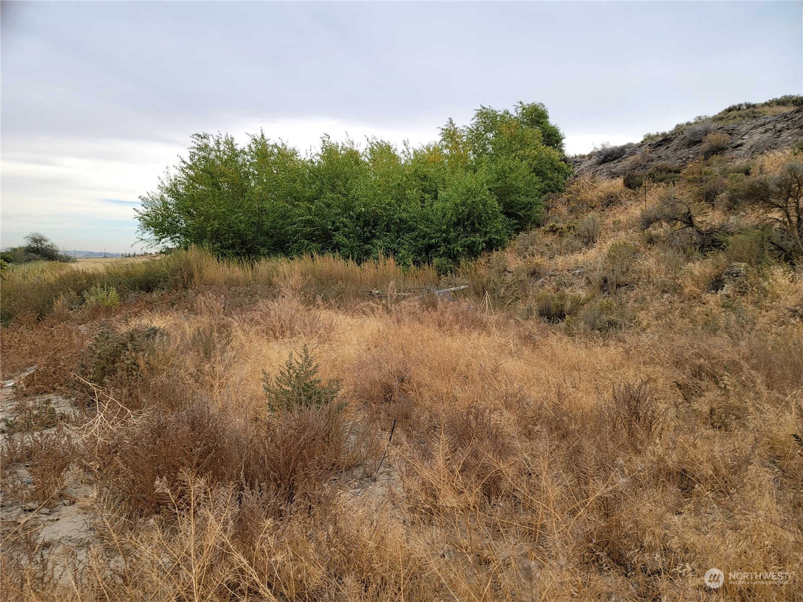 -nna South O'Brian Road Othello, WA 99344 - Photo 14 of 31 a view of a lake with lots of trees