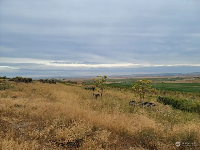 a view of swimming pool with an outdoor space