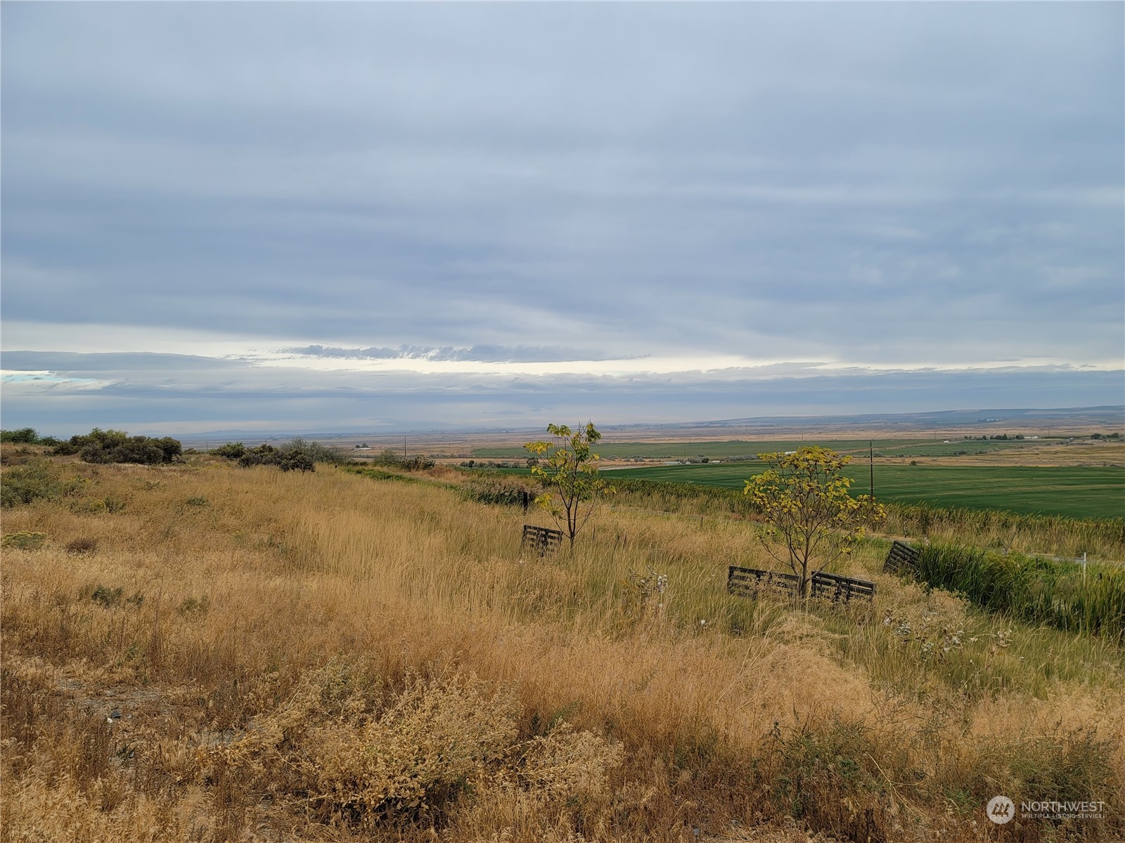 -nna South O'Brian Road Othello, WA 99344 - Photo 16 of 31