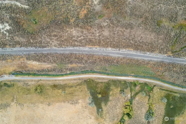 a view of a plant with a plant in front of it