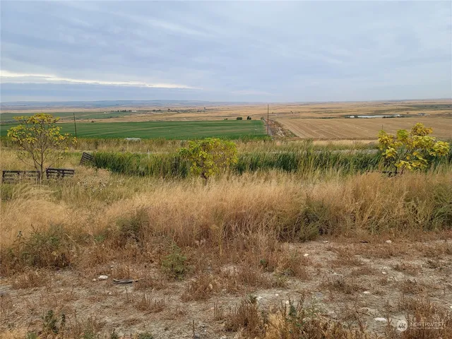 a view of an ocean beach
