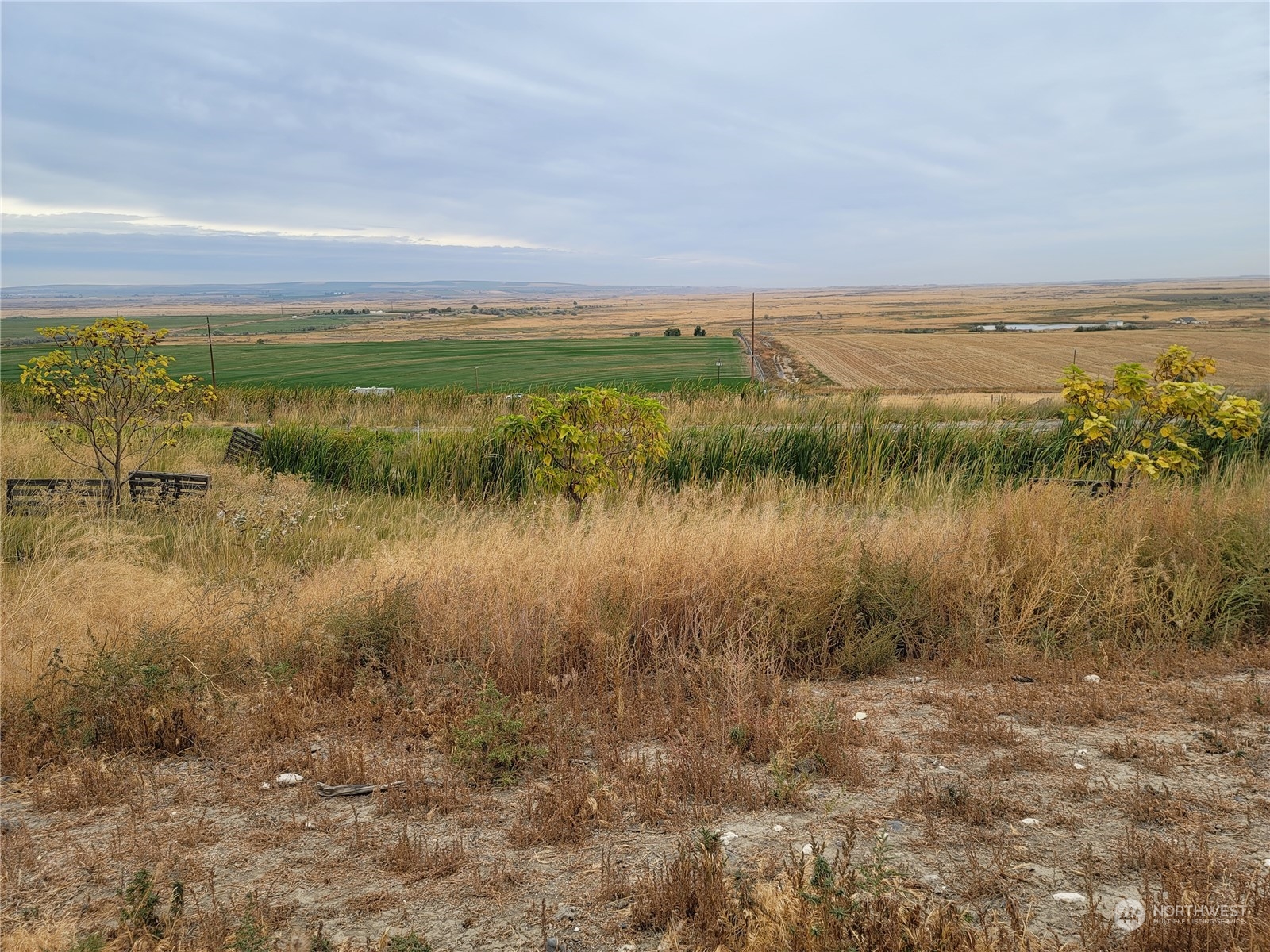 -nna South O'Brian Road Othello, WA 99344 - Photo 18 of 31 a view of a lake from a yard