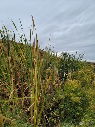 a view of lake with mountain