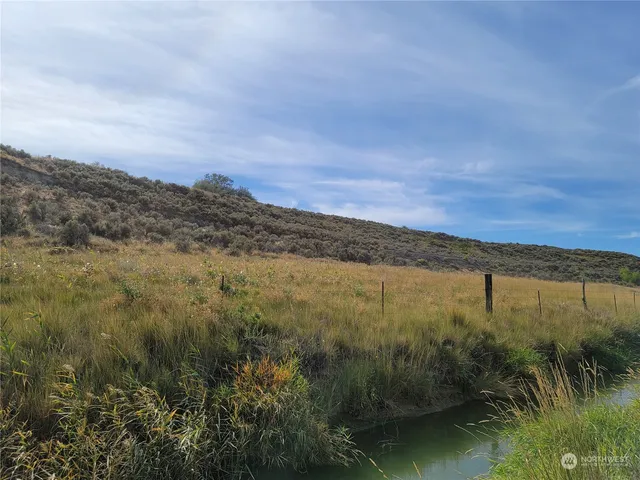 a view of a lush green space with sea