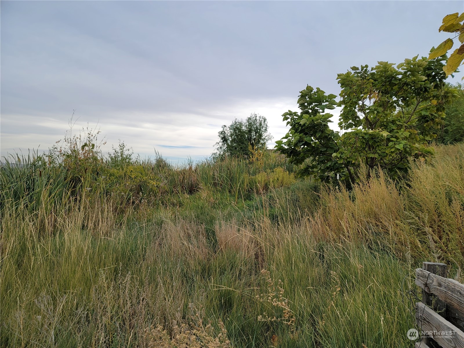 -nna South O'Brian Road Othello, WA 99344 - Photo 29 of 31 a view of a lush green space with sea