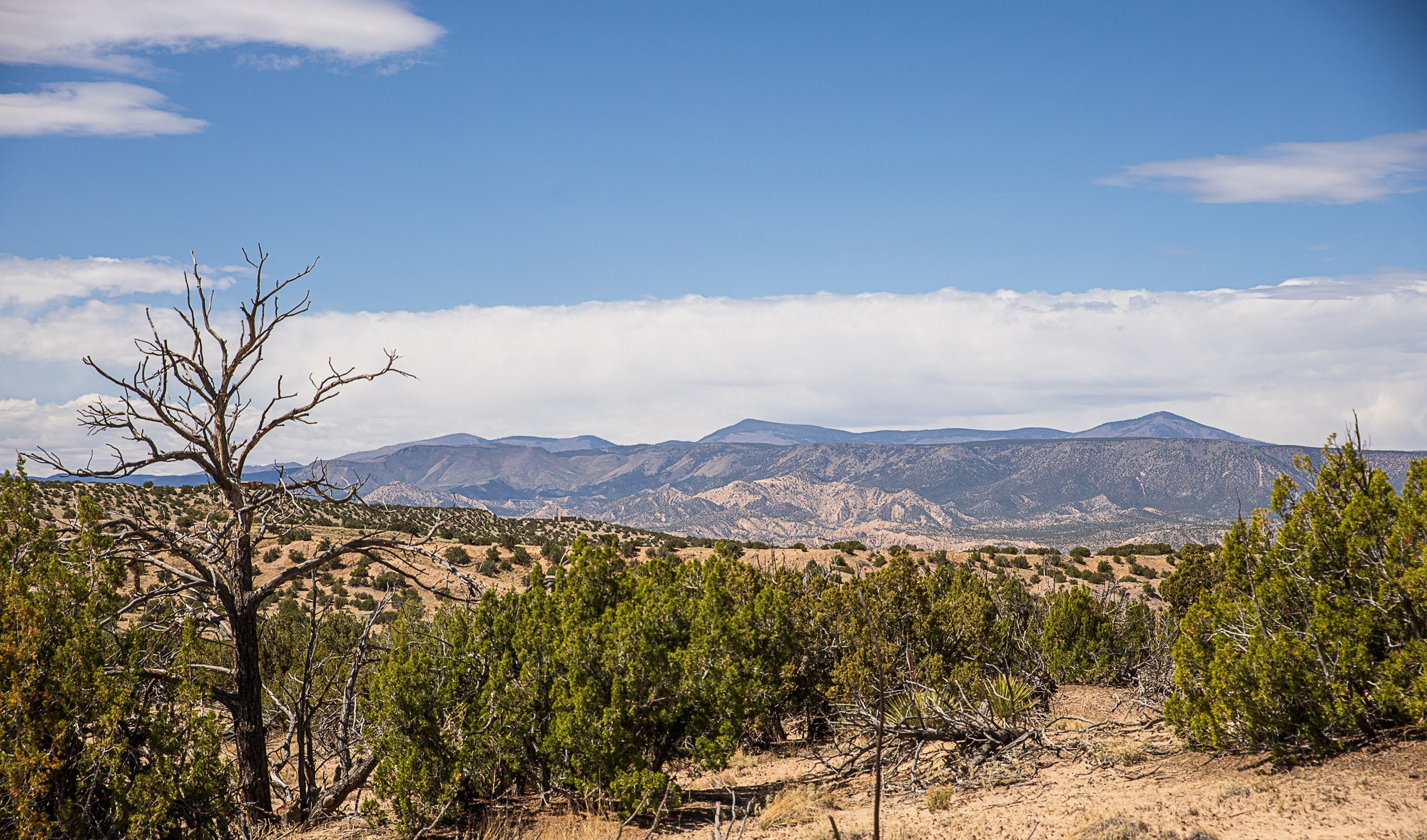 0 El Rito Estates Abiquiu, NM 87510 - Photo 13 of 56