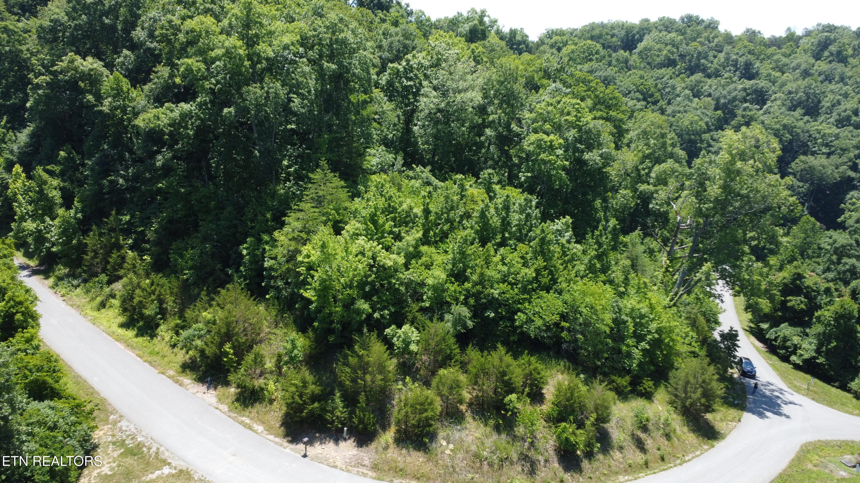 Larayne Hollow Road, Unit 924 Sharps Chapel, TN 37866 - Photo 5 of 21 Over Head of Lot