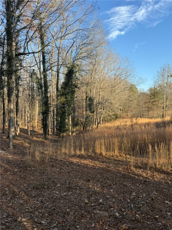 0 Lecroy Road Walhalla, SC 29691 - Photo 12 of 16