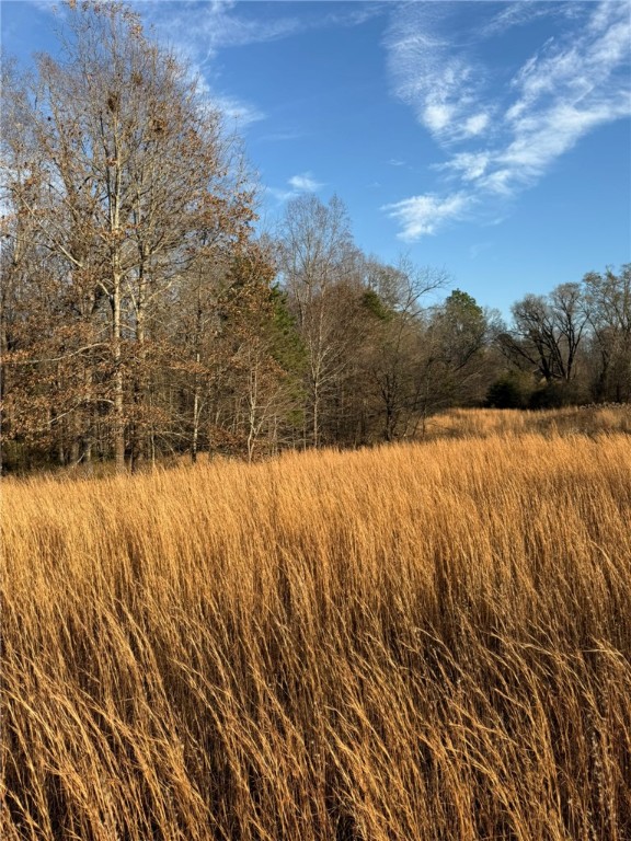 0 Lecroy Road Walhalla, SC 29691 - Photo 14 of 16