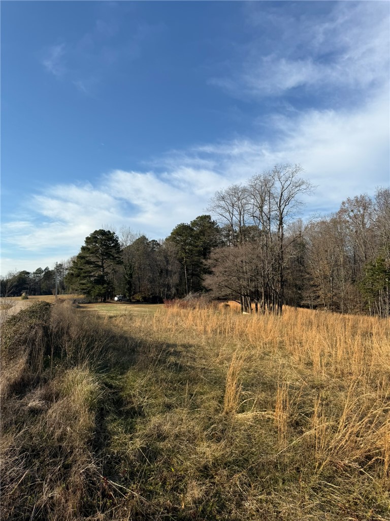 0 Lecroy Road Walhalla, SC 29691 - Photo 3 of 16