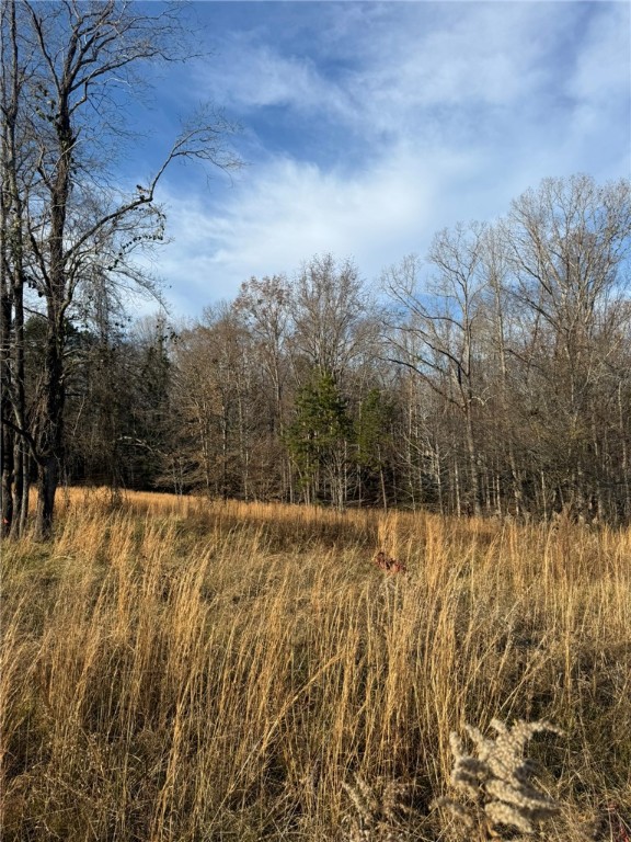 0 Lecroy Road Walhalla, SC 29691 - Photo 10 of 16