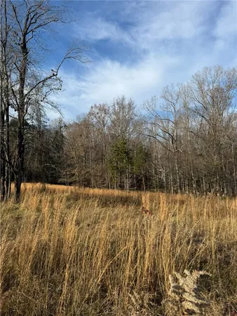 $49,000 | 0 Lecroy Road, Walhalla, SC 29691