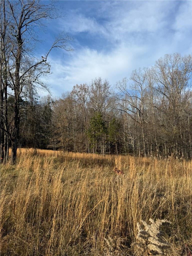 0 Lecroy Road Walhalla, SC 29691 - Photo 10 of 16