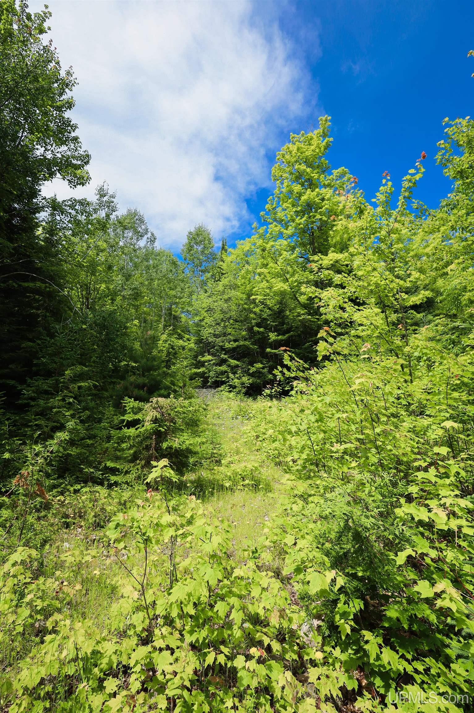Tbd Sigan Road Marquette, MI 49855 - Photo 21 of 32