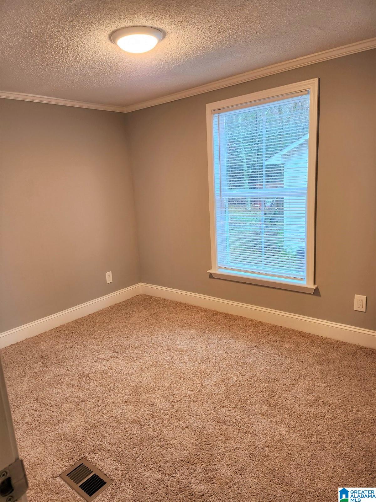 6394 Trussville Clay Road Pinson, AL 35126 - Photo 9 of 18