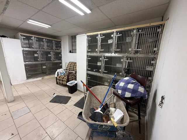 a room with furniture a rug and gym equipment