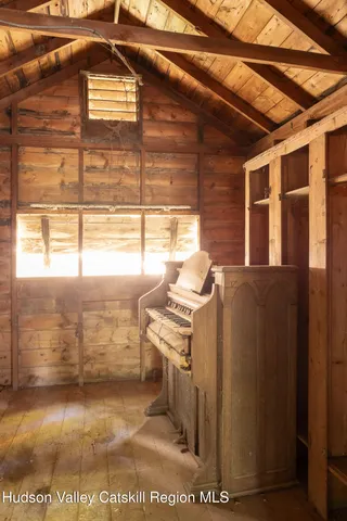 a view of a yard with plants and large trees