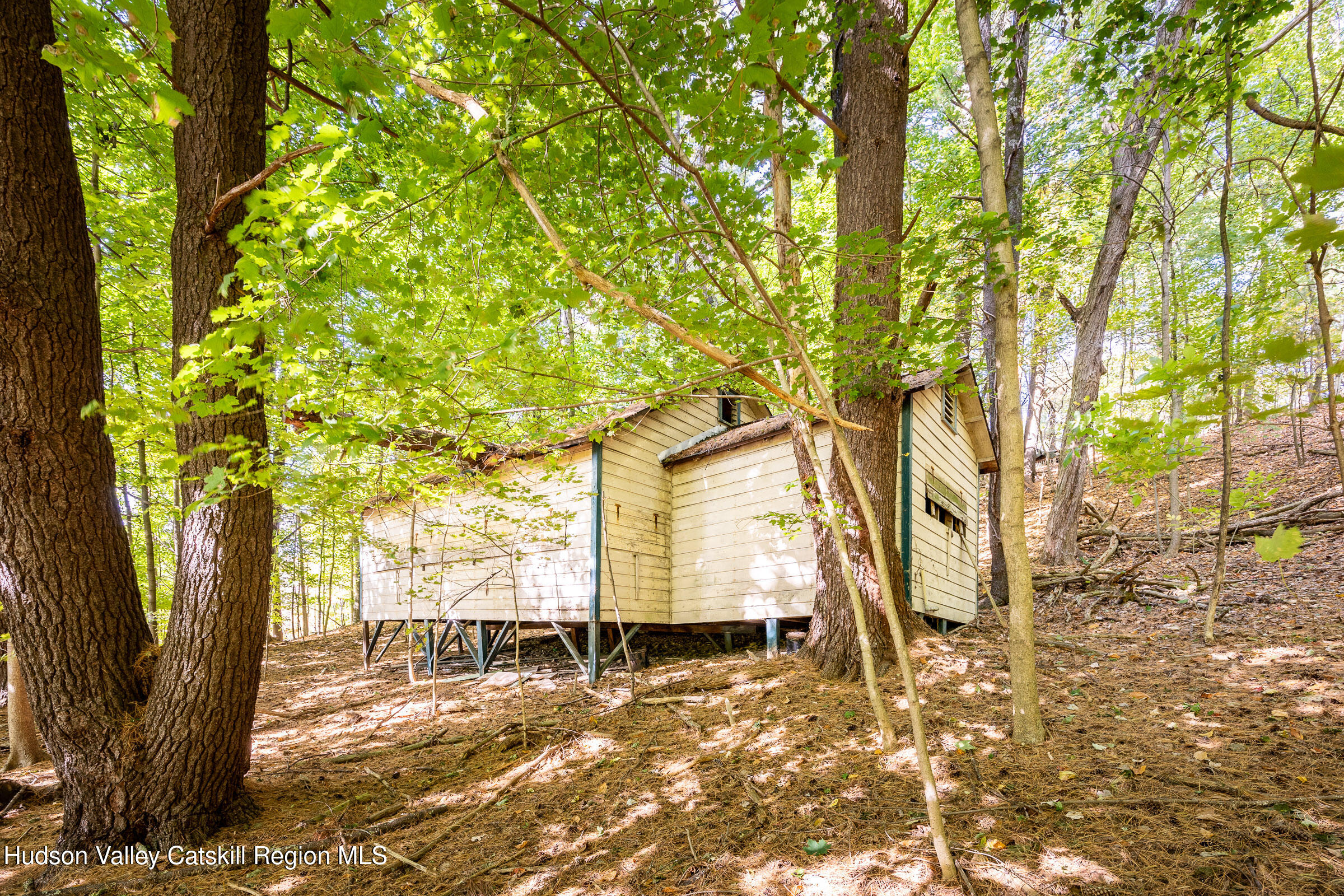1635 High Falls Road Catskill, NY 12414 - Photo 36 of 43 a view of a yard with plants and large trees