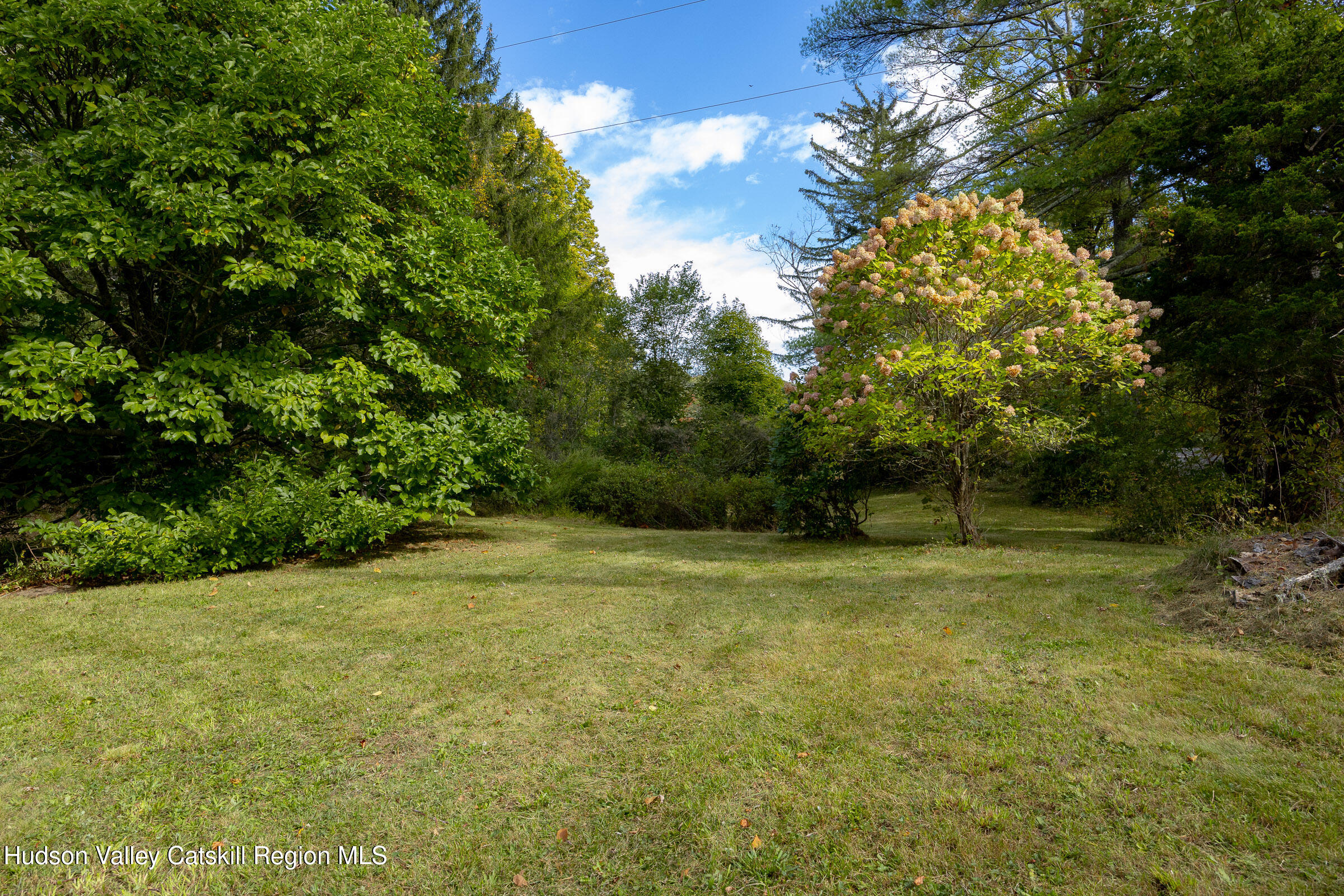 1635 High Falls Road Catskill, NY 12414 - Photo 37 of 43 a view of outdoor space with trees all around