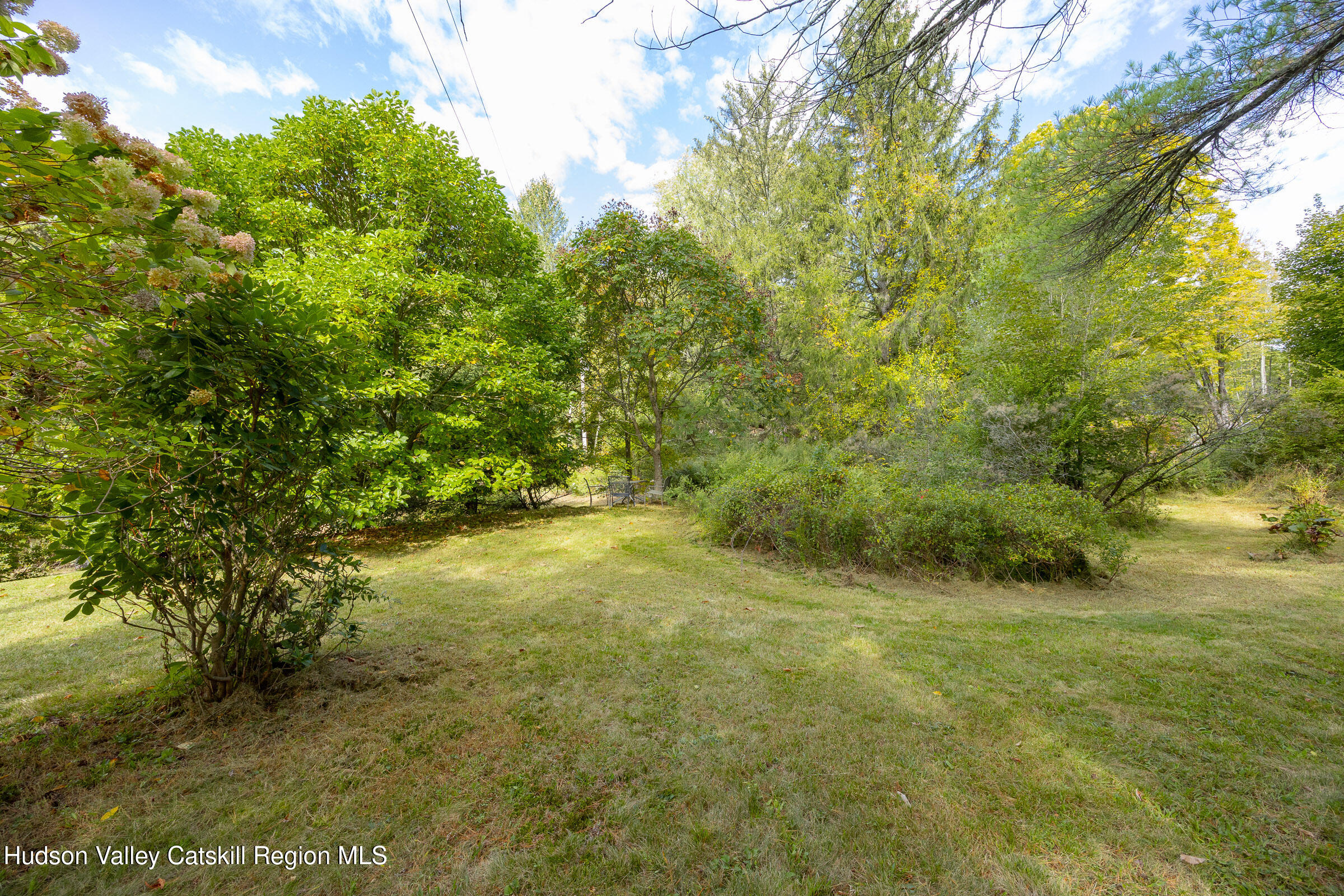 1635 High Falls Road Catskill, NY 12414 - Photo 39 of 43 a view of a yard with a tree