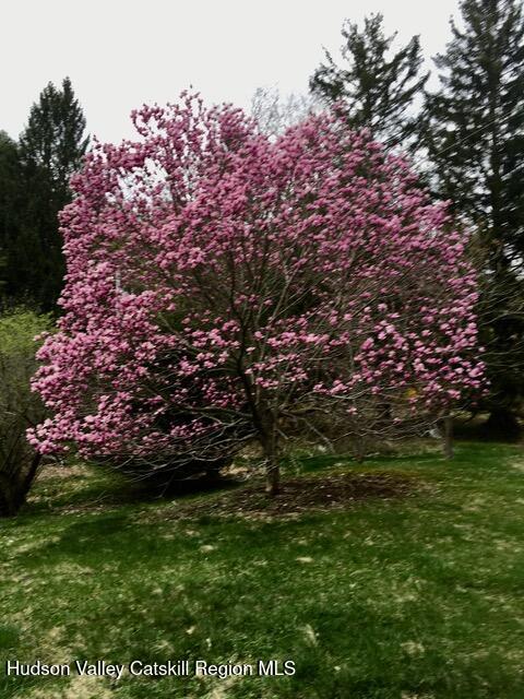 1635 High Falls Road Catskill, NY 12414 - Photo 42 of 43 IMG_3850