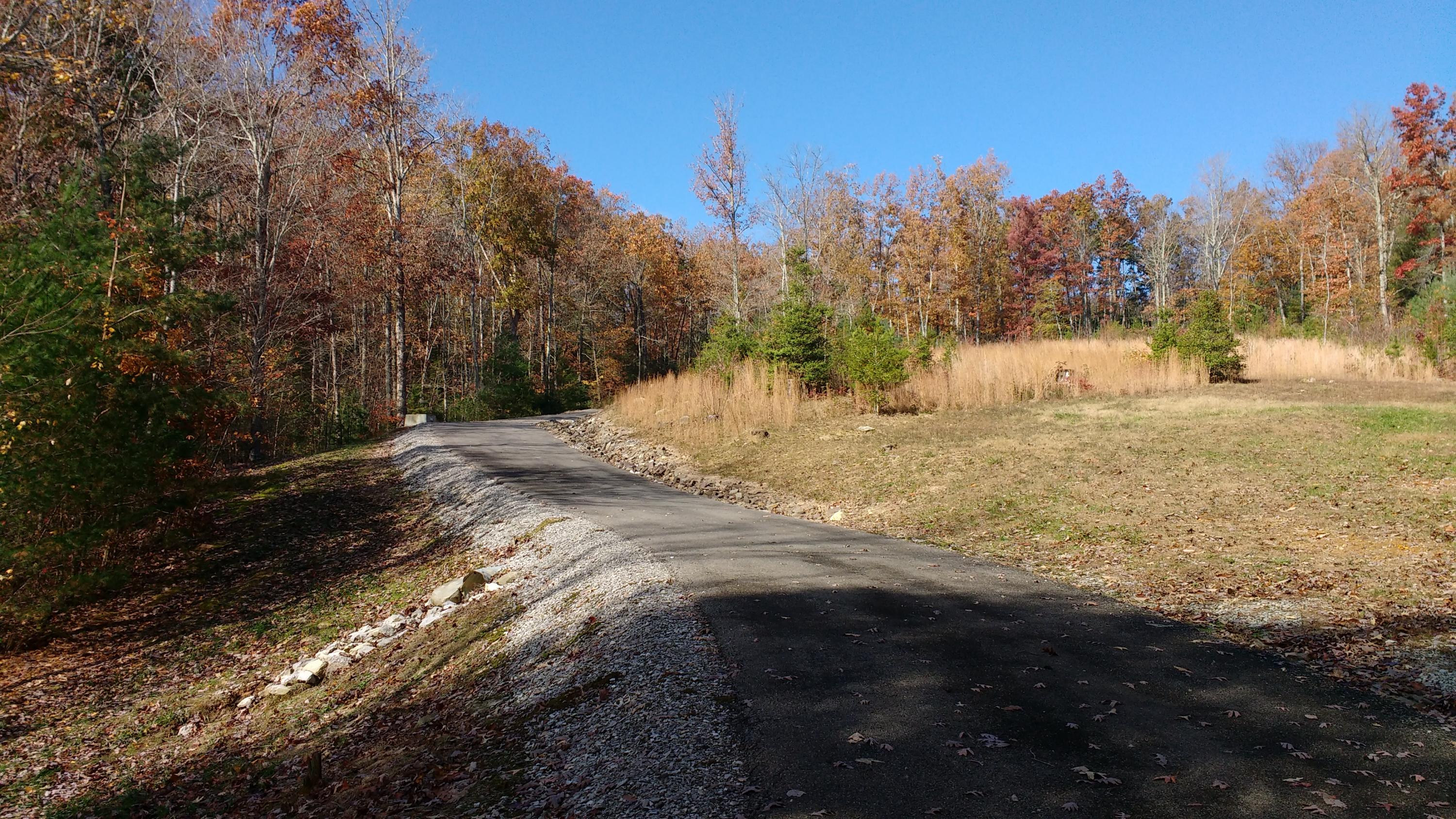 8-ac Pond Ridge Road Tellico Plains, TN 37385 - Photo 3 of 9 IMG_20181110_113129683