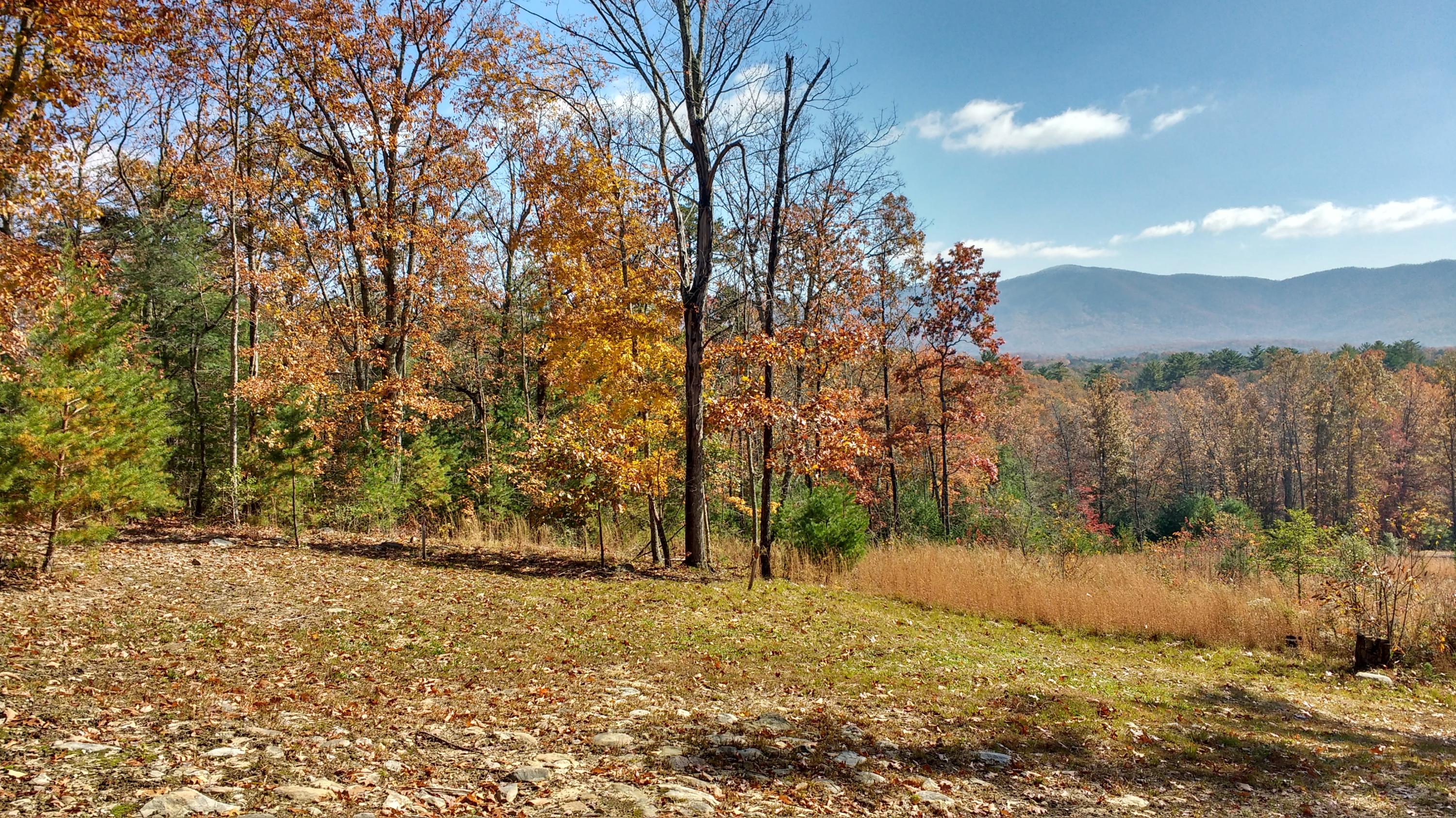 8-ac Pond Ridge Road Tellico Plains, TN 37385 - Photo 6 of 9 IMG_20181110_113619960_HDR
