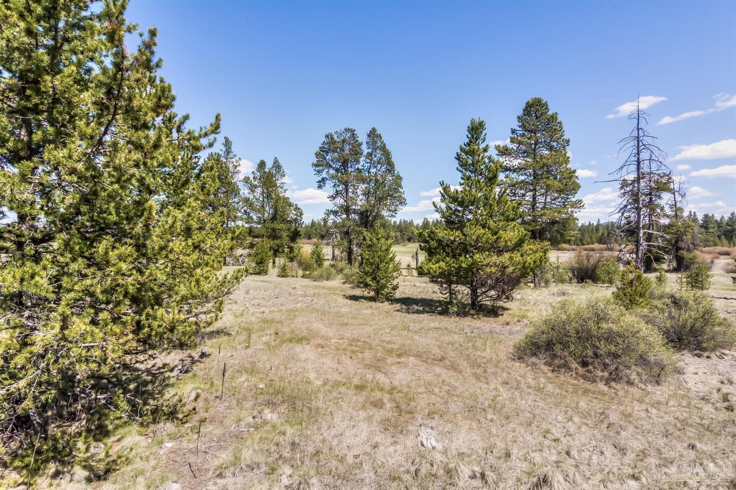 71 Twin Rivers Drive Bend, OR 97707 - Photo 12 of 17 Privacy abounds...