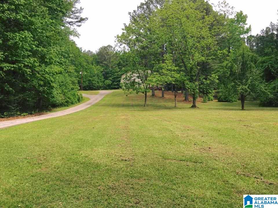 132 Holiday Lane Chelsea, AL 35043 - Photo 7 of 50