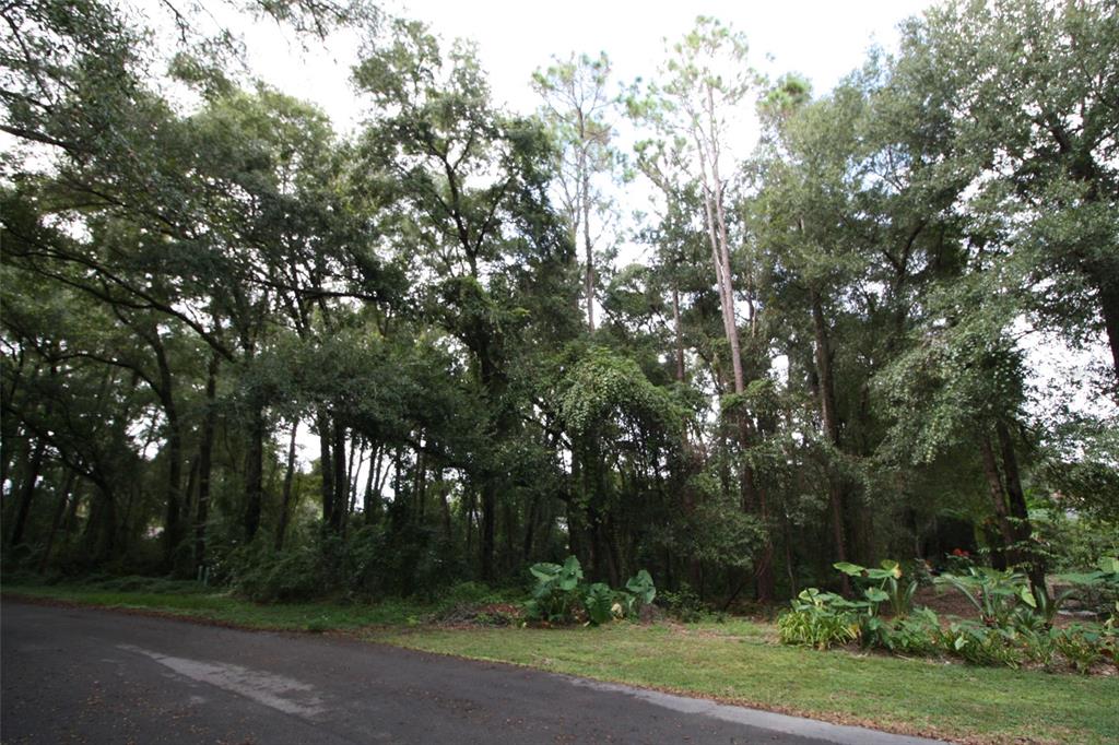 0 Southwest 91st Loop Dunnellon, FL 34432 - Photo 1 of 1 Gallery Image 1