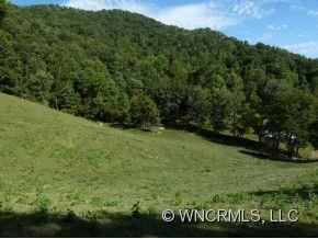 0 Barnes Branch Road Marshall, NC 28753 - Photo 3 of 12 Gallery Image 3
