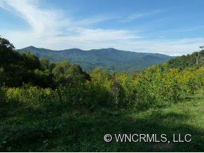 0 Barnes Branch Road Marshall, NC 28753 - Photo 10 of 12 Gallery Image 10