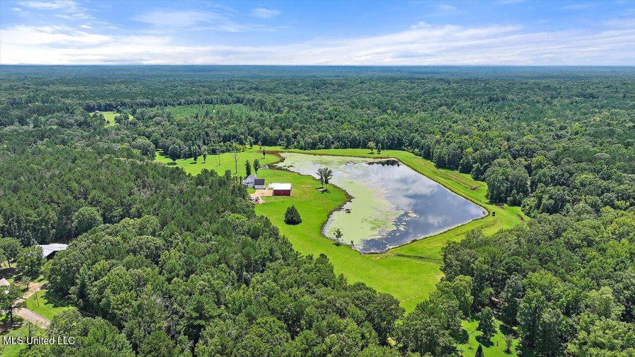 297 Barnes Road Florence, MS 39073 - Photo 115 of 170 086-297 Barnes Rd