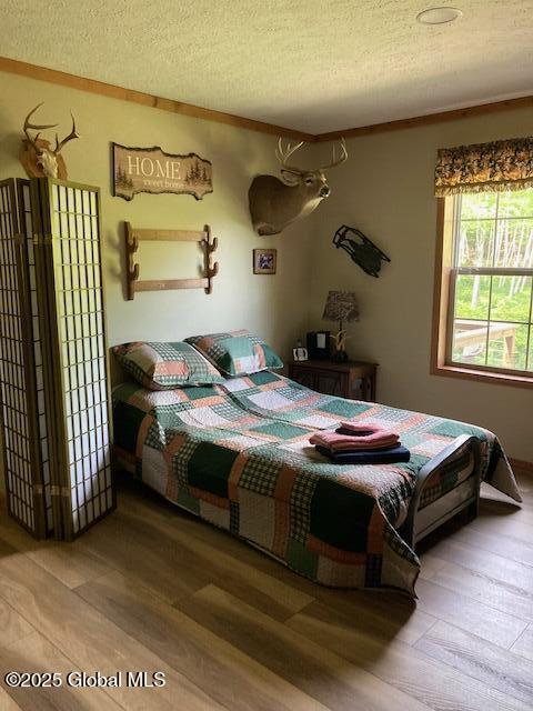 841 Battle Hill Road Hague, NY 12836 - Photo 15 of 38 image2 (2)