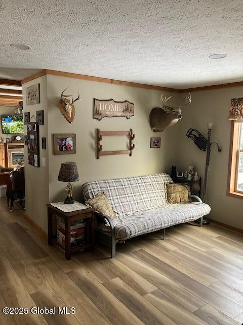 841 Battle Hill Road Hague, NY 12836 - Photo 21 of 38 image17